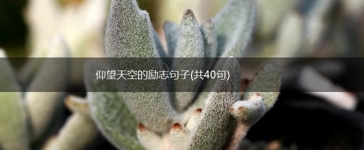仰望天空的励志句子(共40句),第1张