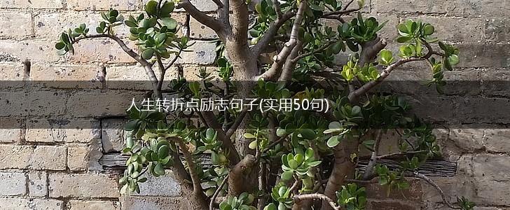 人生转折点励志句子(实用50句),第1张