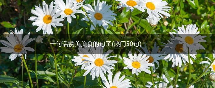 一句话赞美美食的句子(热门50句),第1张