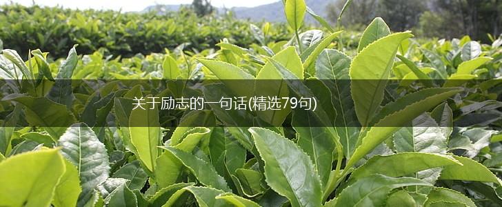 关于励志的一句话(精选79句),第1张