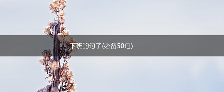 下班的句子(必备50句),第1张