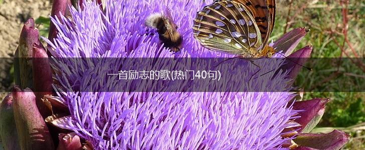 一首励志的歌(热门40句),第1张