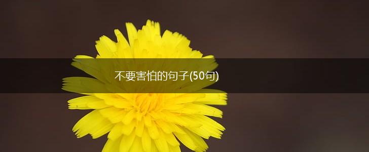 不要害怕的句子(50句),第1张