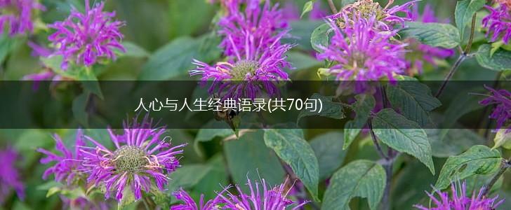 人心与人生经典语录(共70句),第1张