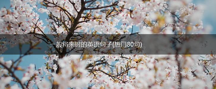 一般将来时的英语句子(热门80句),第1张