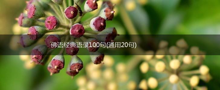佛语经典语录100句(通用20句),第1张