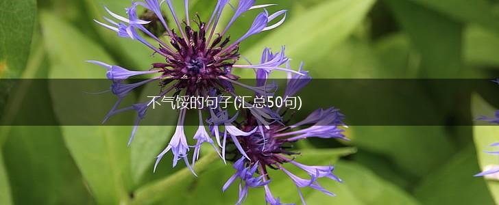 不气馁的句子(汇总50句),第1张