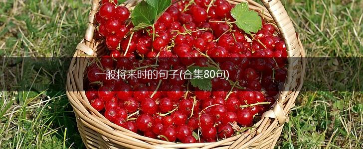 一般将来时的句子(合集80句),第1张