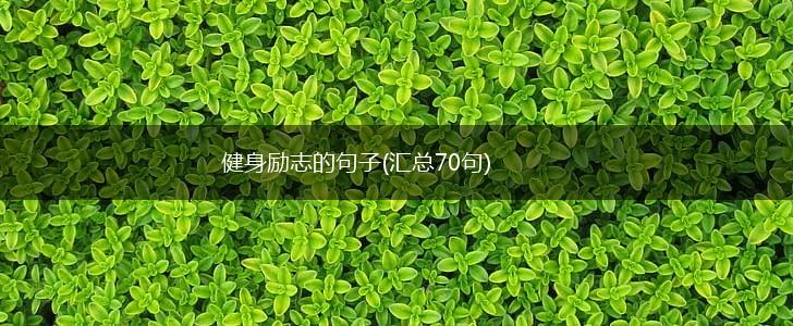 健身励志的句子(汇总70句),第1张