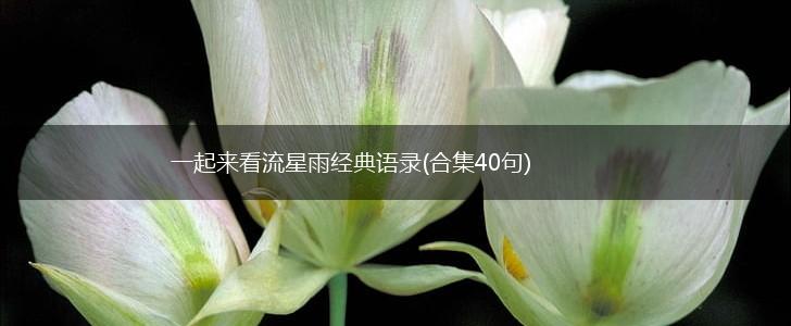 一起来看流星雨经典语录(合集40句),第1张
