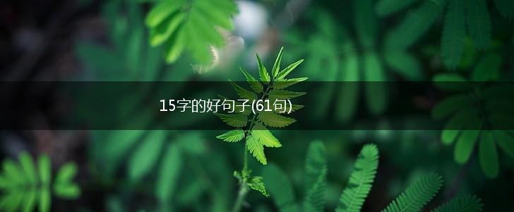 15字的好句子(61句),第1张