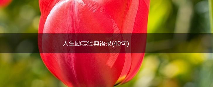 人生励志经典语录(40句),第1张