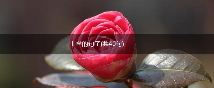 上学的句子(共40句),第1张