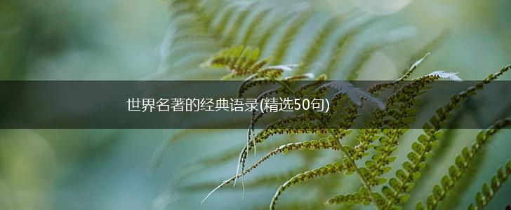 世界名著的经典语录(精选50句),第1张