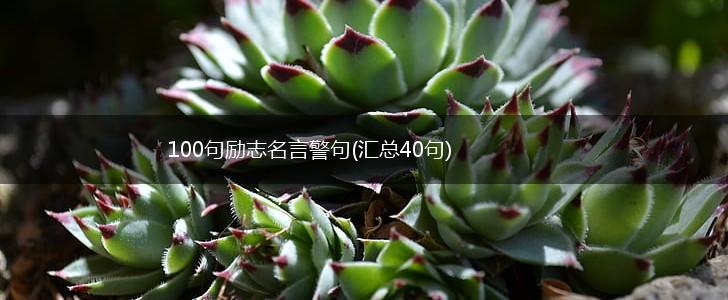 100句励志名言警句(汇总40句),第1张