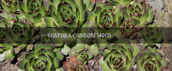 一句话打动人心励志(热门40句),第1张