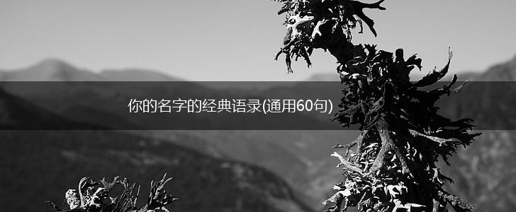 你的名字的经典语录(通用60句),第1张