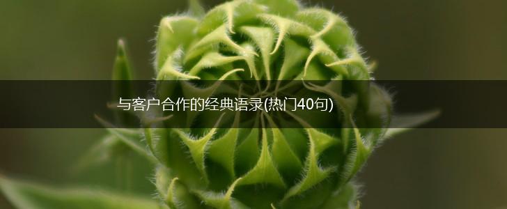 与客户合作的经典语录(热门40句),第1张