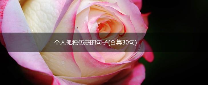 一个人孤独伤感的句子(合集30句),第1张