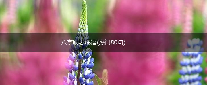 八字励志成语(热门80句),第1张