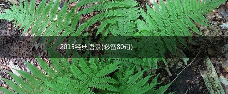 2015经典语录(必备80句),第1张