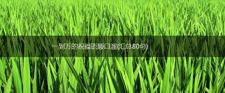 一到万的祝福语顺口溜(汇总80句),第1张