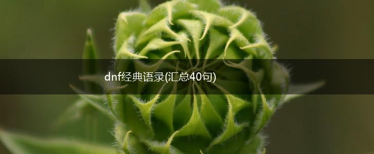 dnf经典语录(汇总40句),第1张