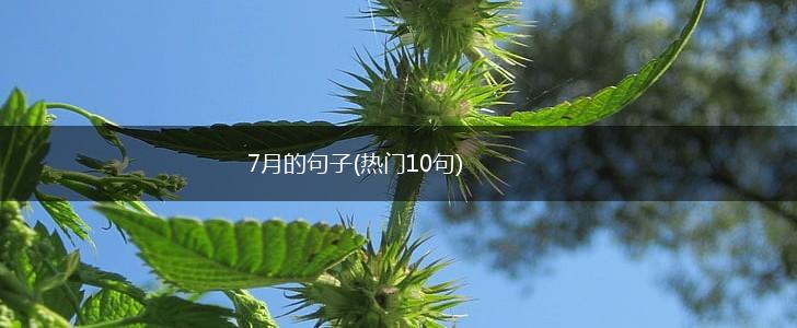 7月的句子(热门10句),第1张