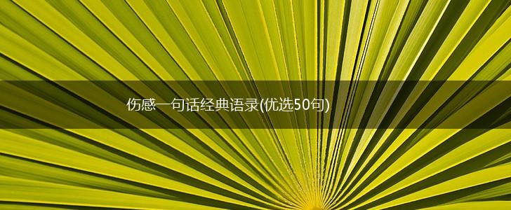 伤感一句话经典语录(优选50句),第1张