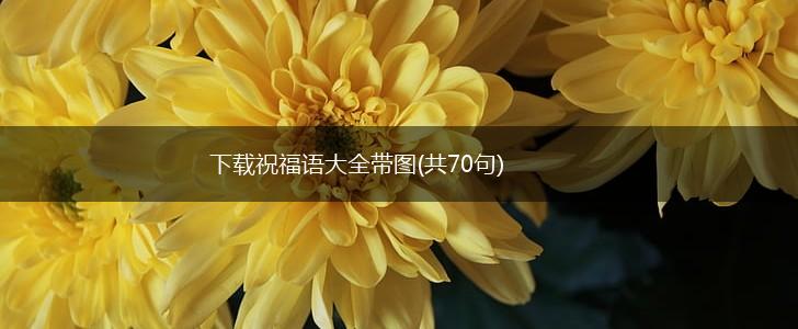 下载祝福语大全带图(共70句),第1张