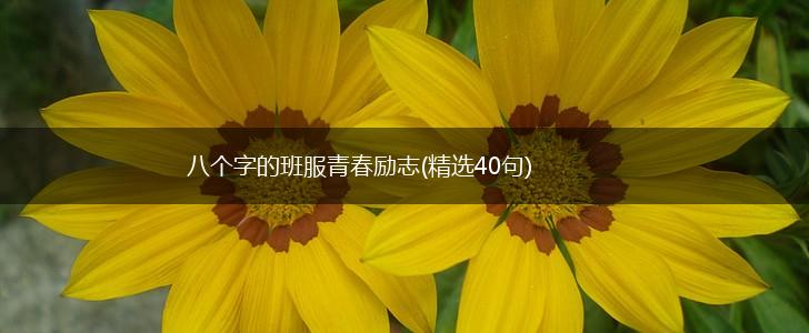 八个字的班服青春励志(精选40句),第1张