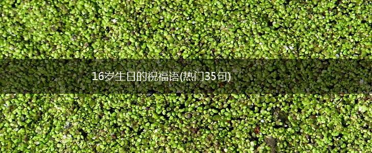 16岁生日的祝福语(热门35句),第1张