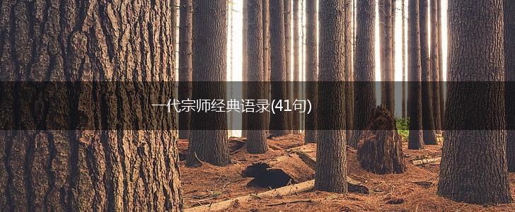 一代宗师经典语录(41句),第1张
