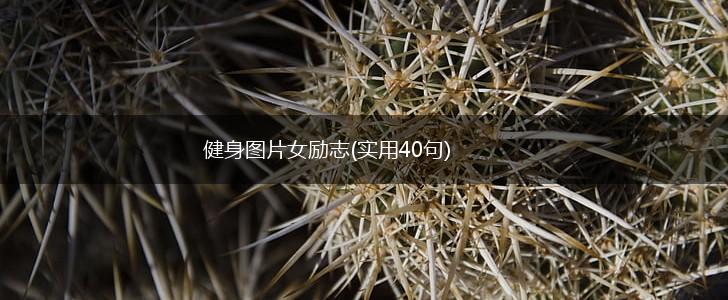 健身图片女励志(实用40句),第1张