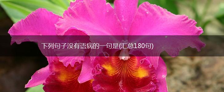 下列句子没有语病的一句是(汇总180句),第1张