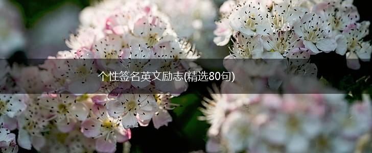 个性签名英文励志(精选80句),第1张