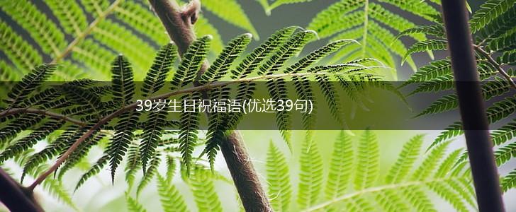 39岁生日祝福语(优选39句),第1张