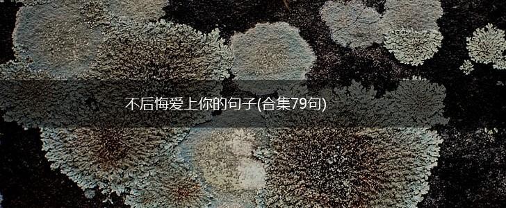 不后悔爱上你的句子(合集79句),第1张