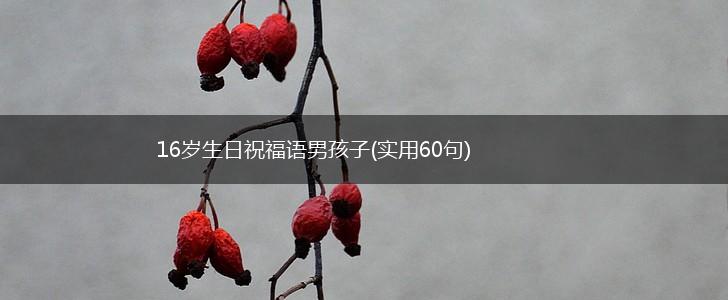 16岁生日祝福语男孩子(实用60句),第1张