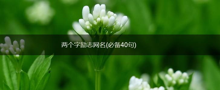 两个字励志网名(必备40句),第1张