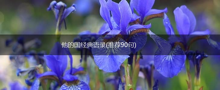 他的国经典语录(推荐90句),第1张