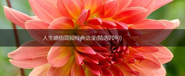 人生感悟简短经典语录(精选70句),第1张