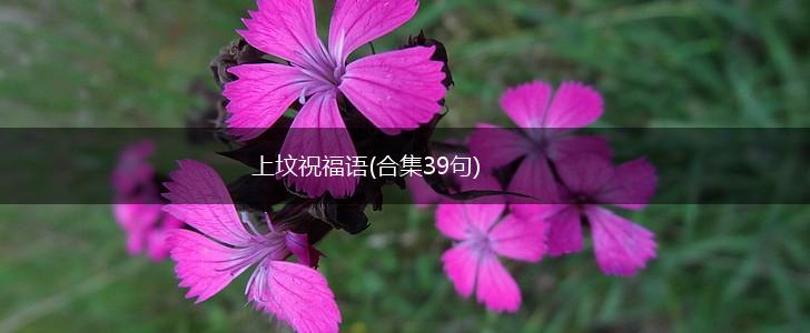 上坟祝福语(合集39句),第1张