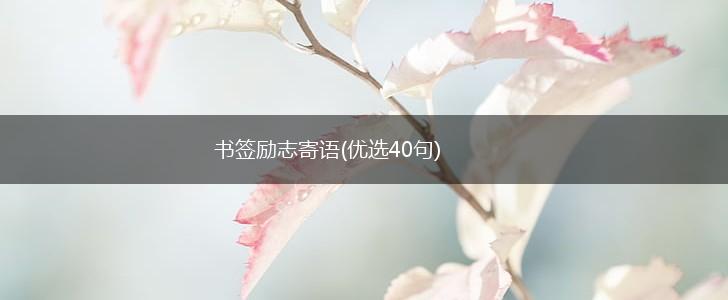 书签励志寄语(优选40句),第1张