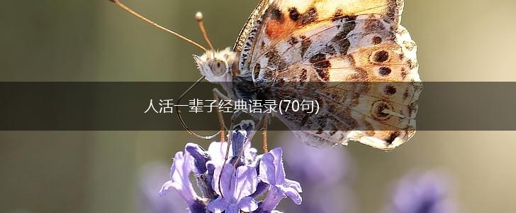 人活一辈子经典语录(70句),第1张