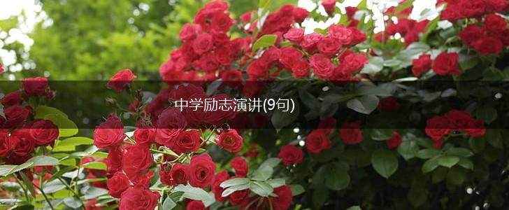 中学励志演讲(9句),第1张