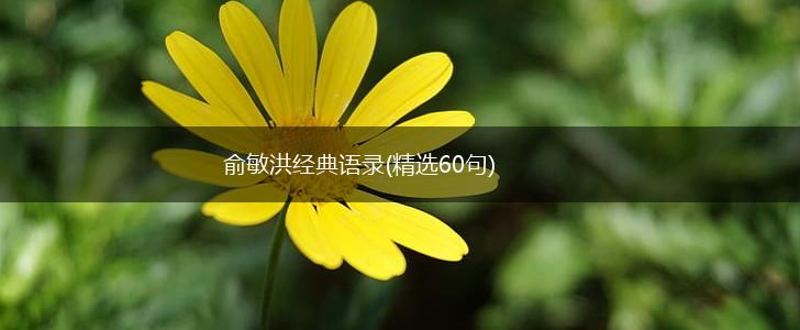 俞敏洪经典语录(精选60句),第1张