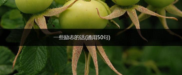 一些励志的话(通用50句),第1张