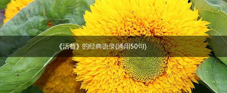 《活着》的经典语录(通用50句),第1张