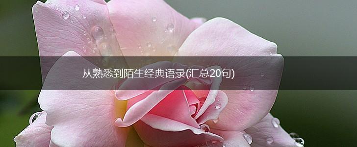 从熟悉到陌生经典语录(汇总20句),第1张
